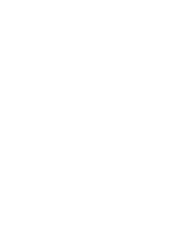 FIFA Fan Festivals logo