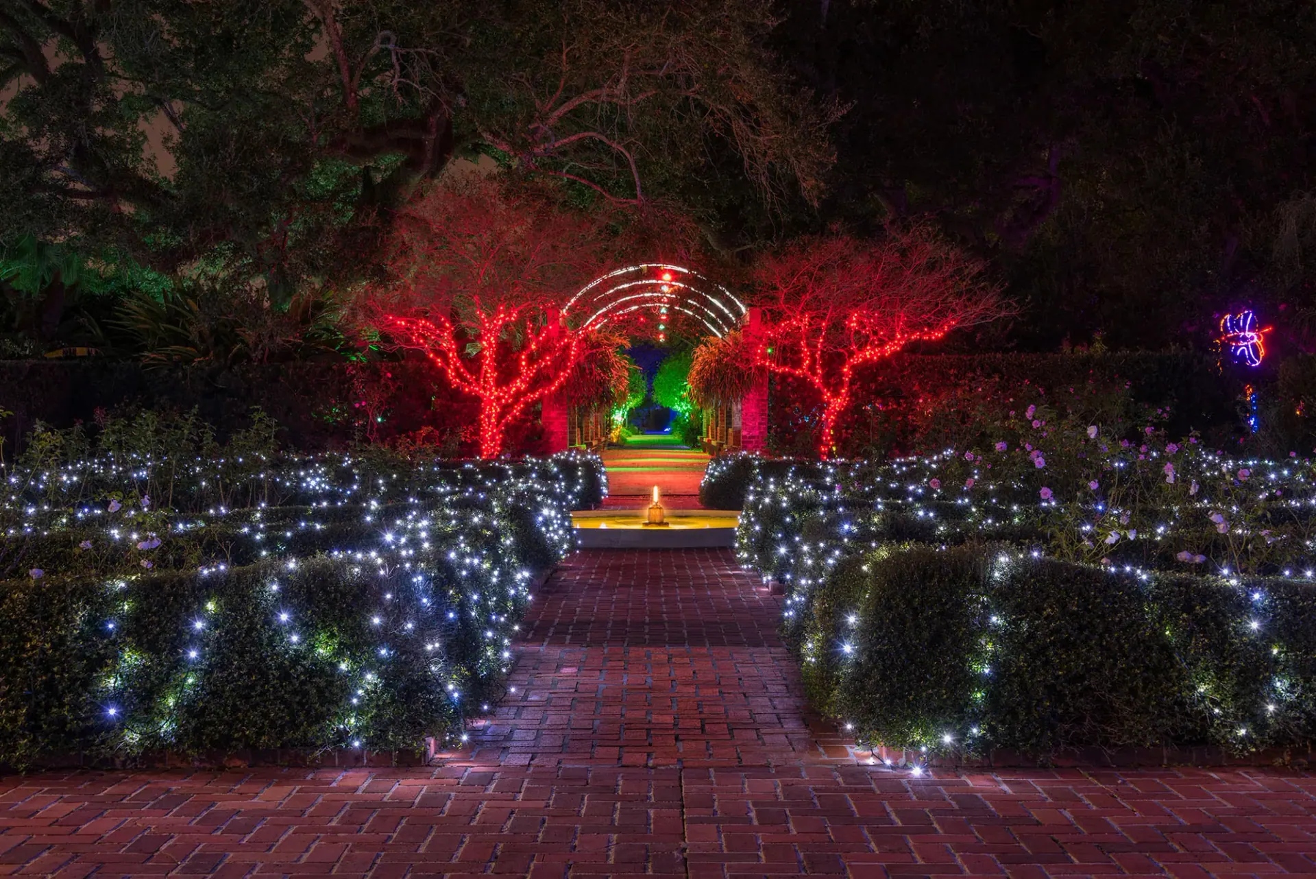 Celebration in the Oaks